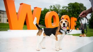 Website-Goodwoof2024_LouJohnson_-32.jpg