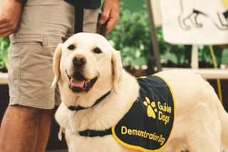 Website-Goodwoof2023_JackBeasley_0274.jpg